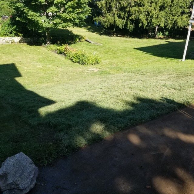 lawn-1
