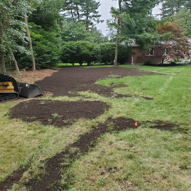 lawn-2