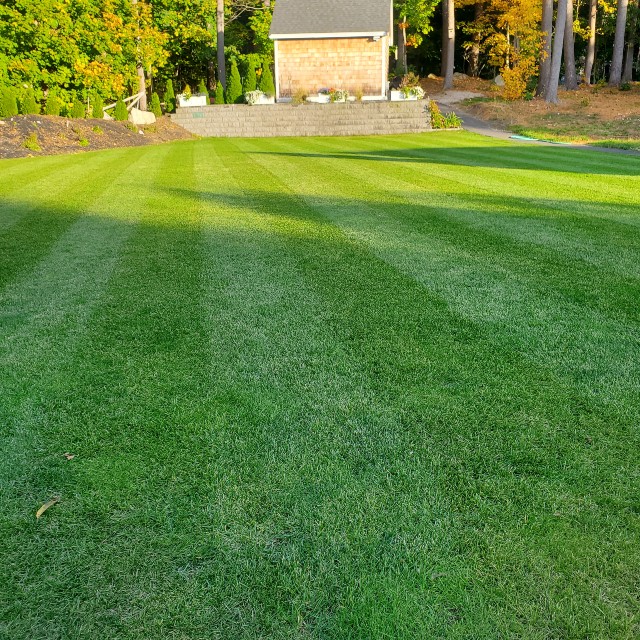 lawn-3