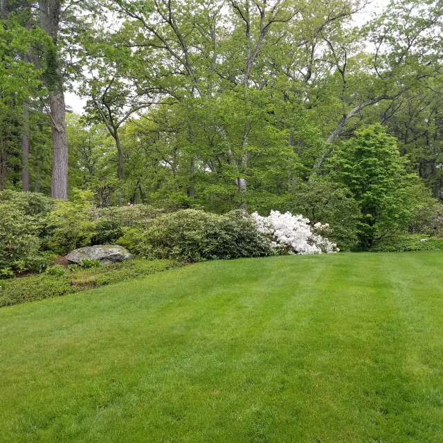 lawn-6